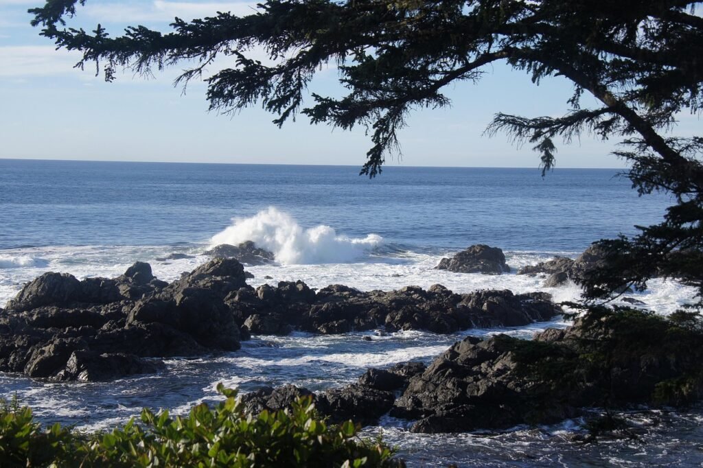 Ucluelet, Kanada
besonderes Reiseziel