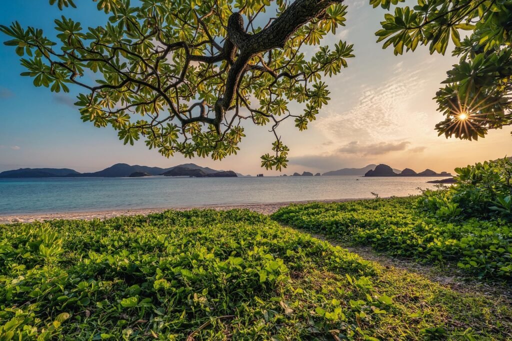 Okinawa Japan